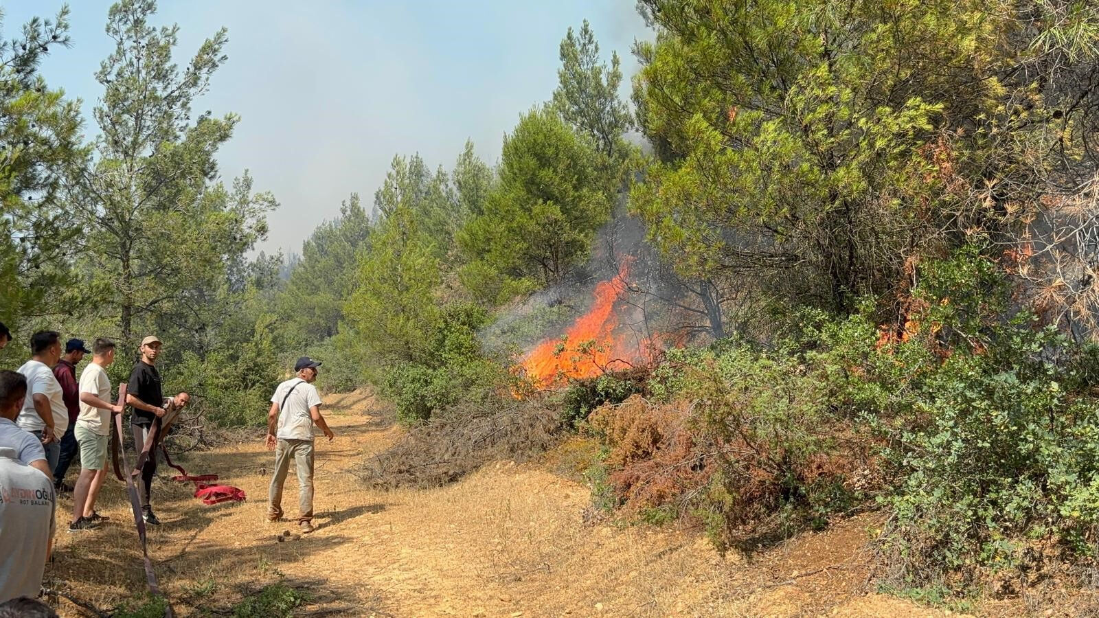 Alevlerin çıkışının arkasında 'arı' çıktı! Akhisar'daki orman yangınıyla ilgili 1 kişi gözaltına alındı - 1. Resim