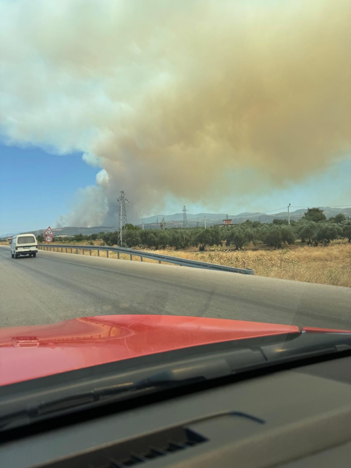 Alevlerin çıkışının arkasında 'arı' çıktı! Akhisar'daki orman yangınıyla ilgili 1 kişi gözaltına alındı - 2. Resim