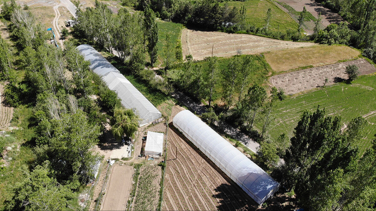Bir haberle hayatı değişti! 60 senelik serası çöken çiftçiye Bakanlık sahip çıktı - 2. Resim