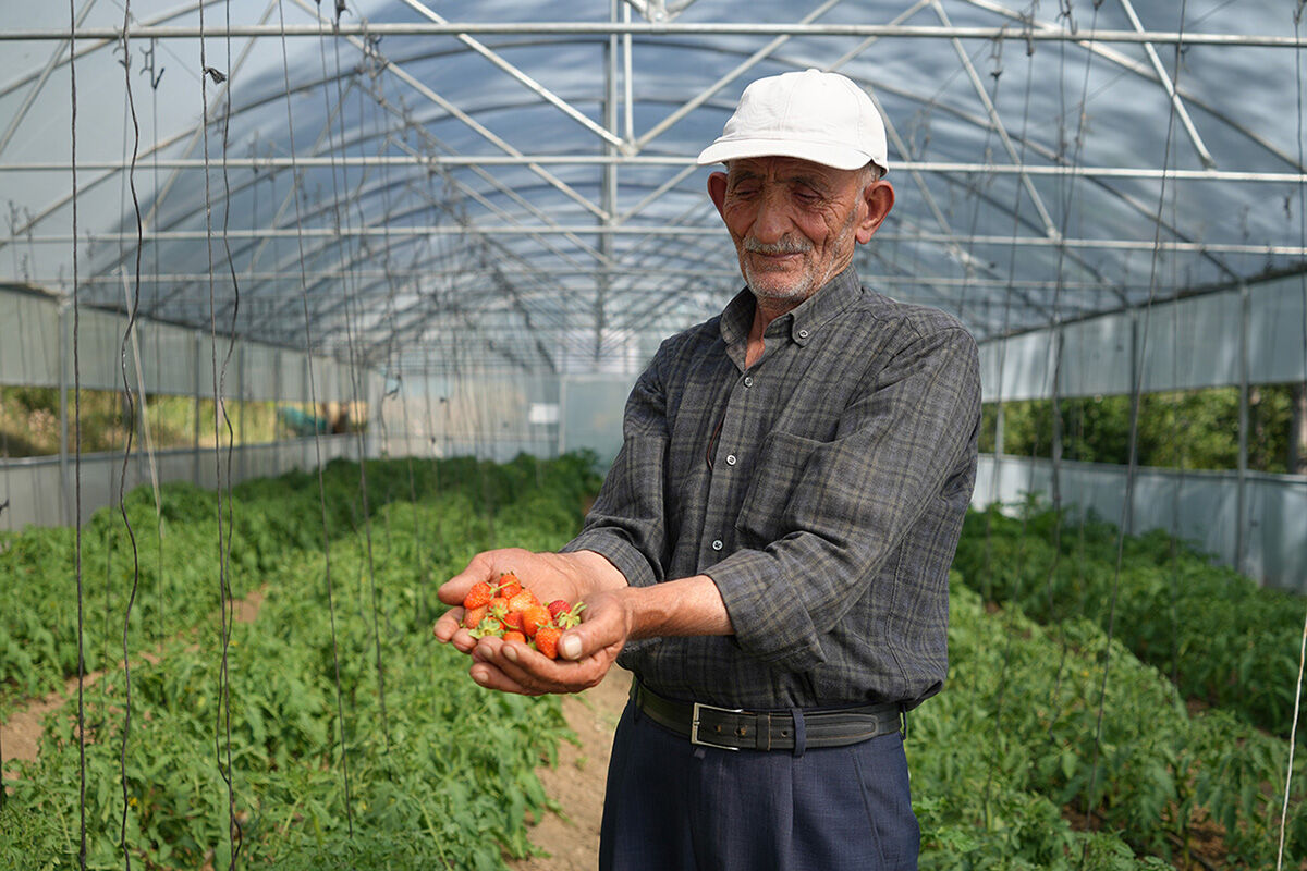 Bir telefonla haberle değişti! 60 senelik serası çöken çiftçiye Bakanlık sahip çıktı - 3. Resim