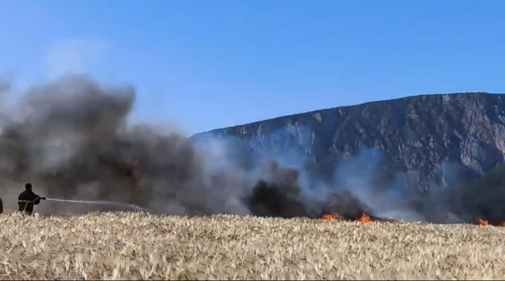 Bir yangın haberi de Samsun'dan: 61 dönüm alan kül oldu - 1. Resim