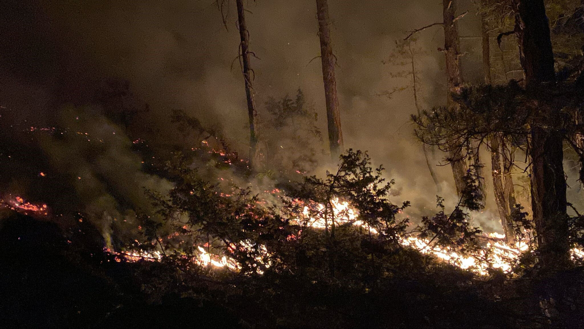 Bolu’daki orman yangını büyüyor! Alevler havadan görüntülendi - 1. Resim