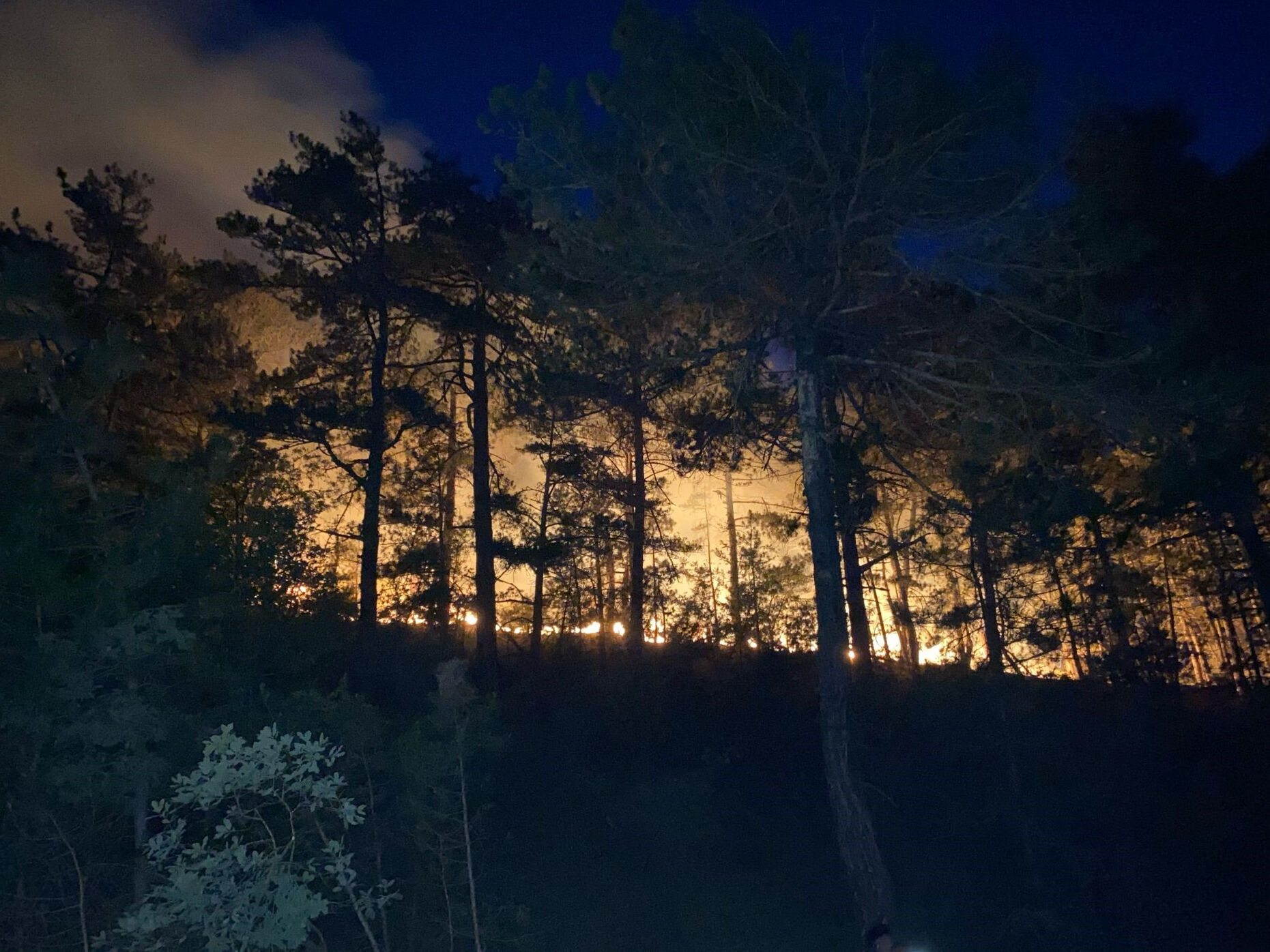 Bolu’daki orman yangını büyüyor! Alevler havadan görüntülendi - 2. Resim