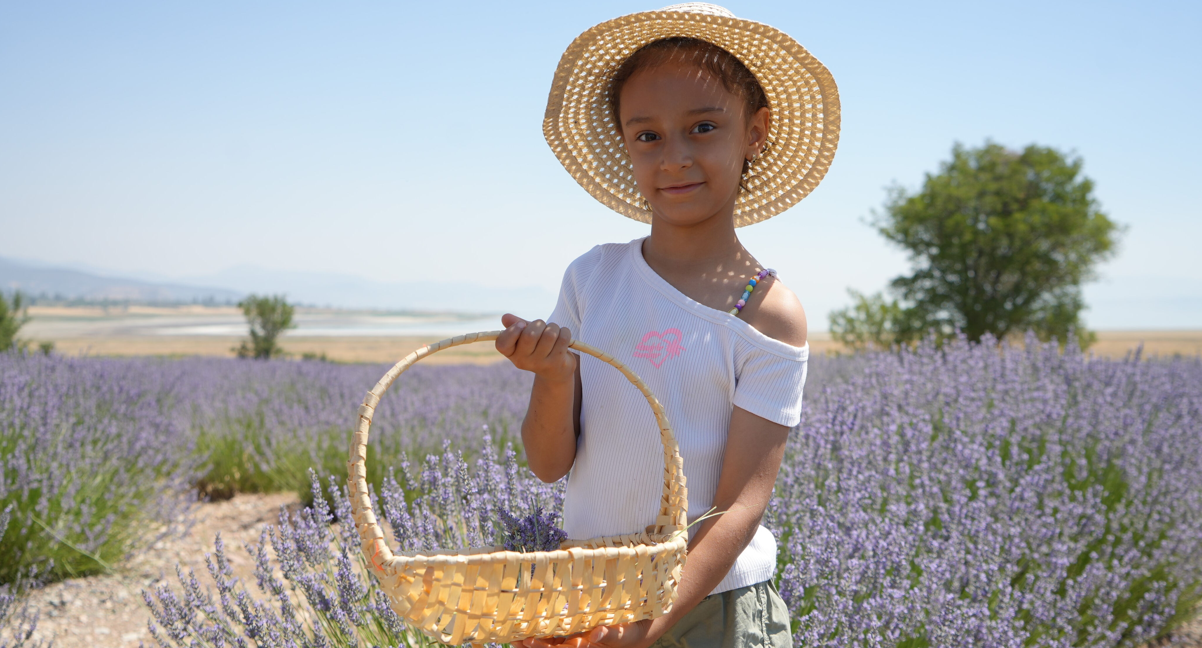 Bu da kokulu hasat! Mor şölen başladı, üretici de misafir de mutlu - 3. Resim