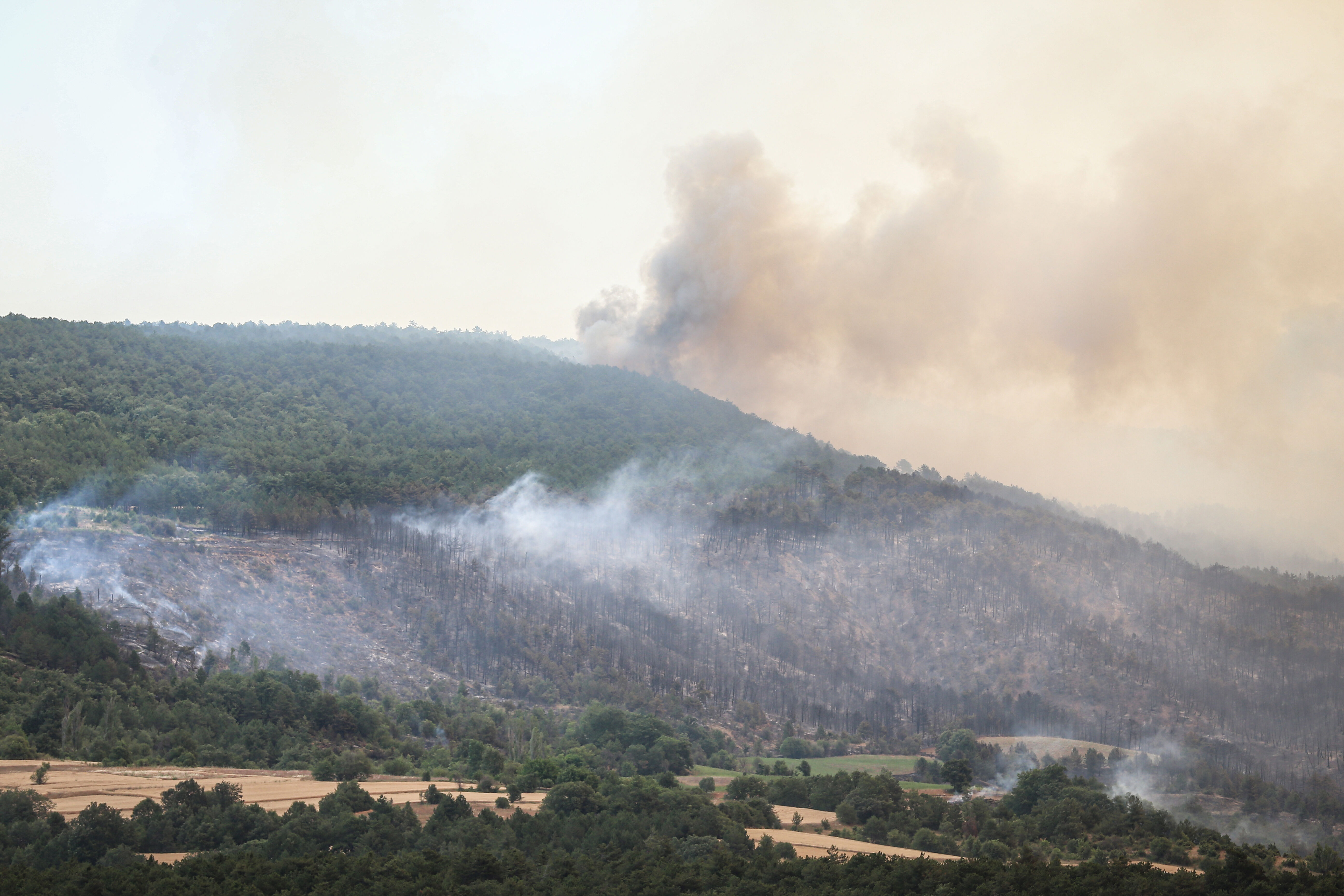 Ciğerlerimiz yanıyor! Bakan Yumaklı son durumu paylaştı: 113 yangının 6'sı devam ediyor, 3'ü riskli - 1. Resim
