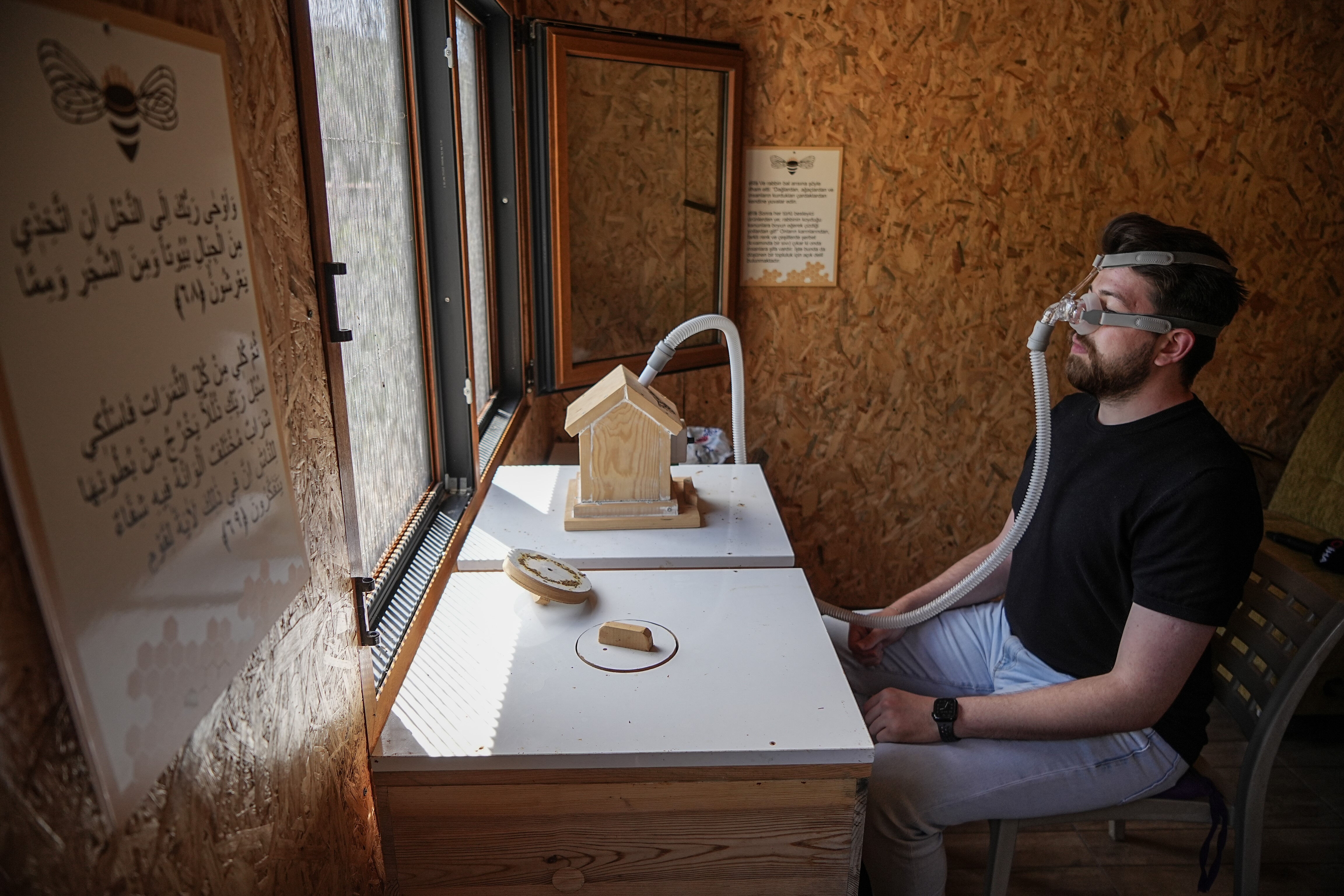 Doktor 10 dönümlük araziye kurdu! 75'in üzerinde çeşit var, turist akınına uğruyor - 4. Resim