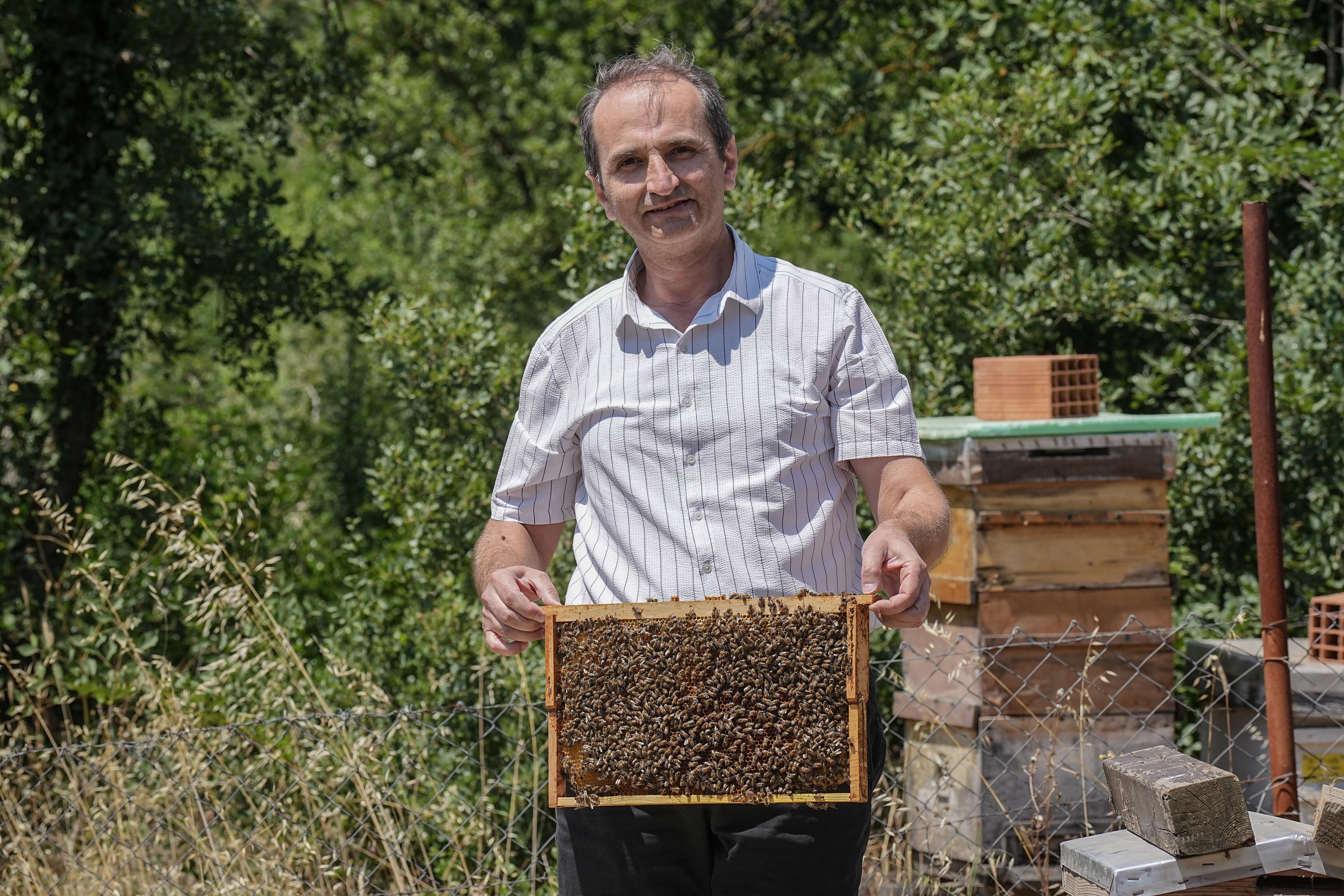 Doktor 10 dönümlük araziye kurdu! 75'in üzerinde çeşit var, turist akınına uğruyor - 6. Resim