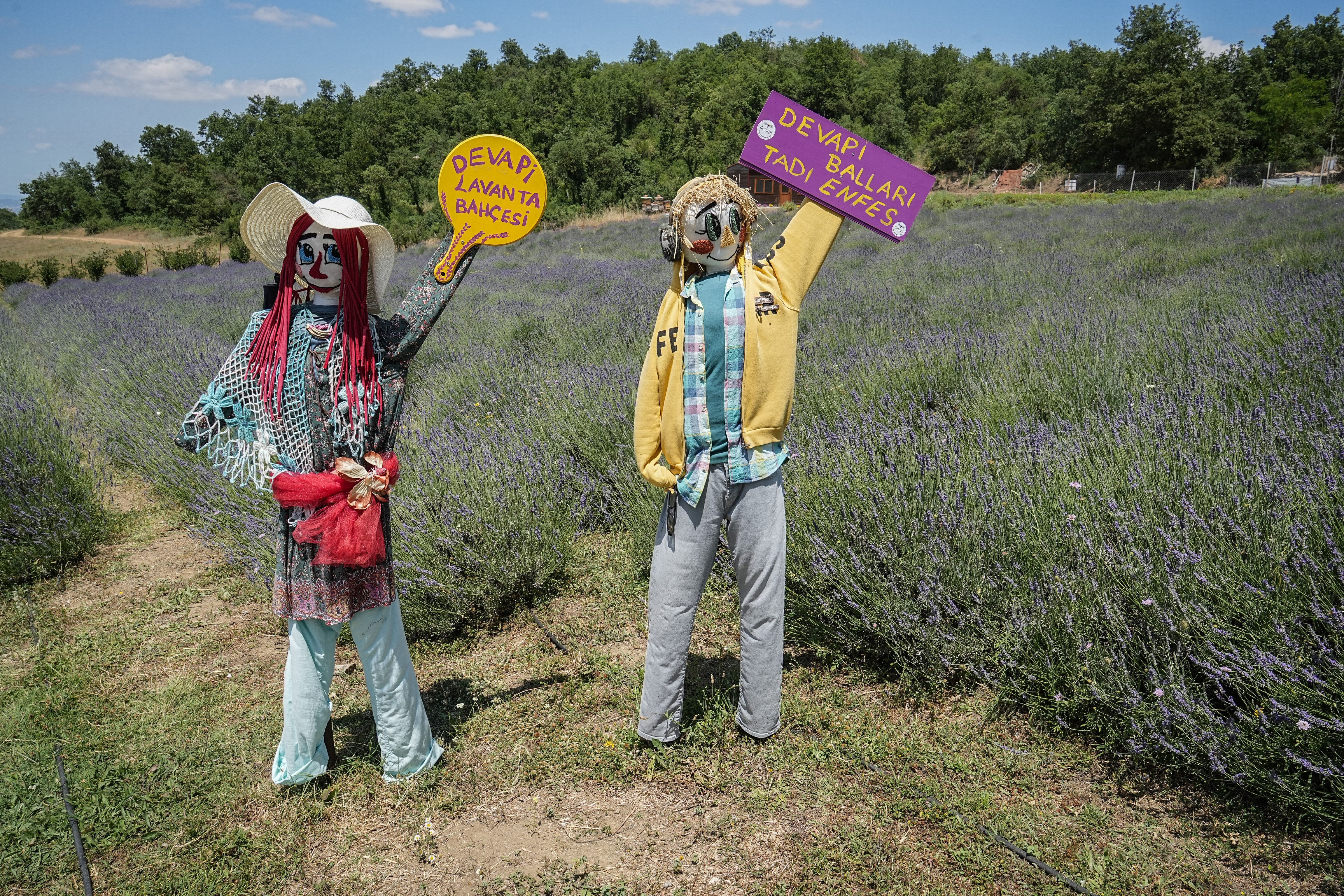Doktor 10 dönümlük araziye kurdu! 75'in üzerinde çeşit var, turist akınına uğruyor - 7. Resim