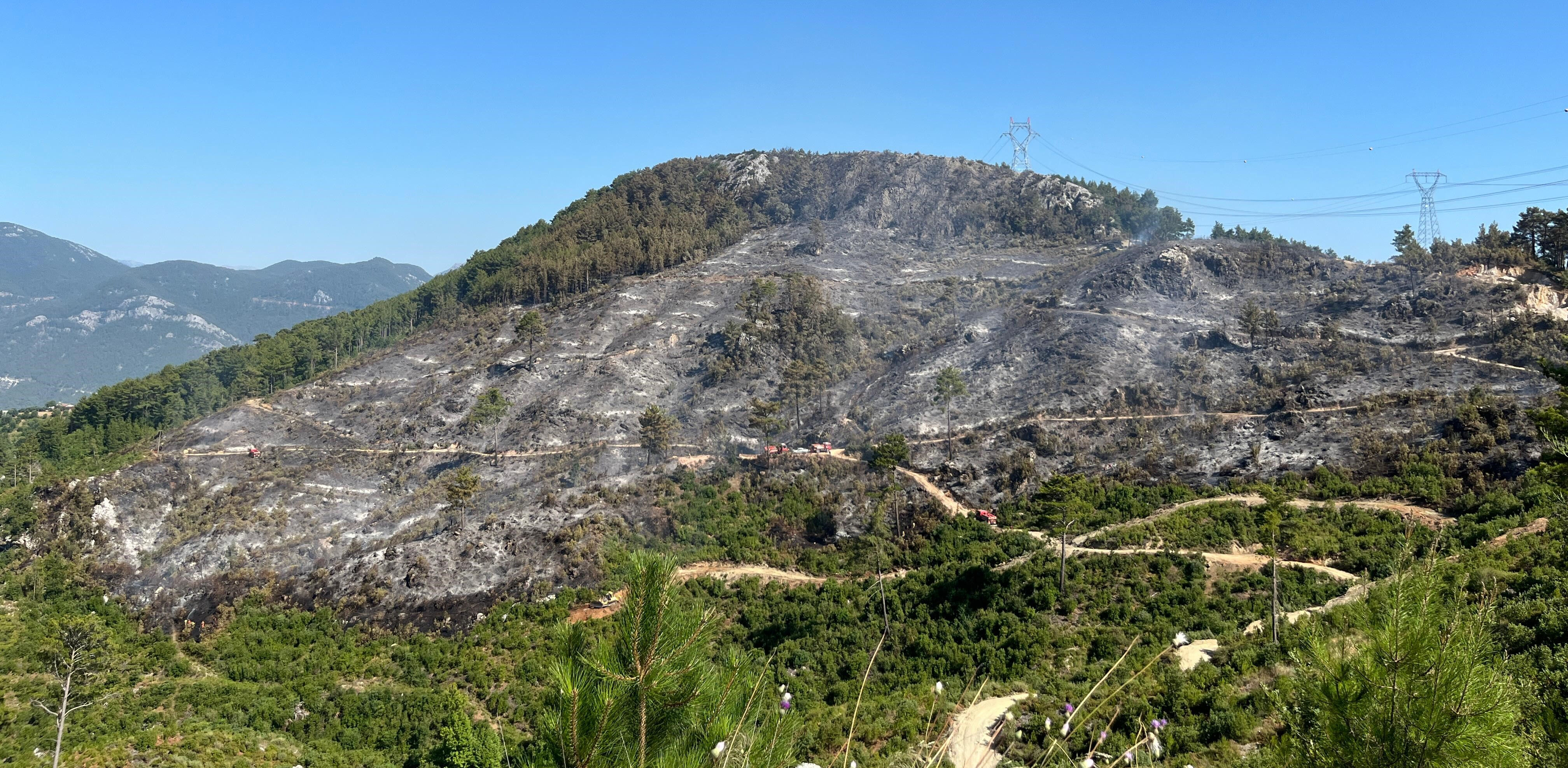 Mardin'den Tekirdağ'a, Sakarya'dan Antalya'ya... - 1. Resim
