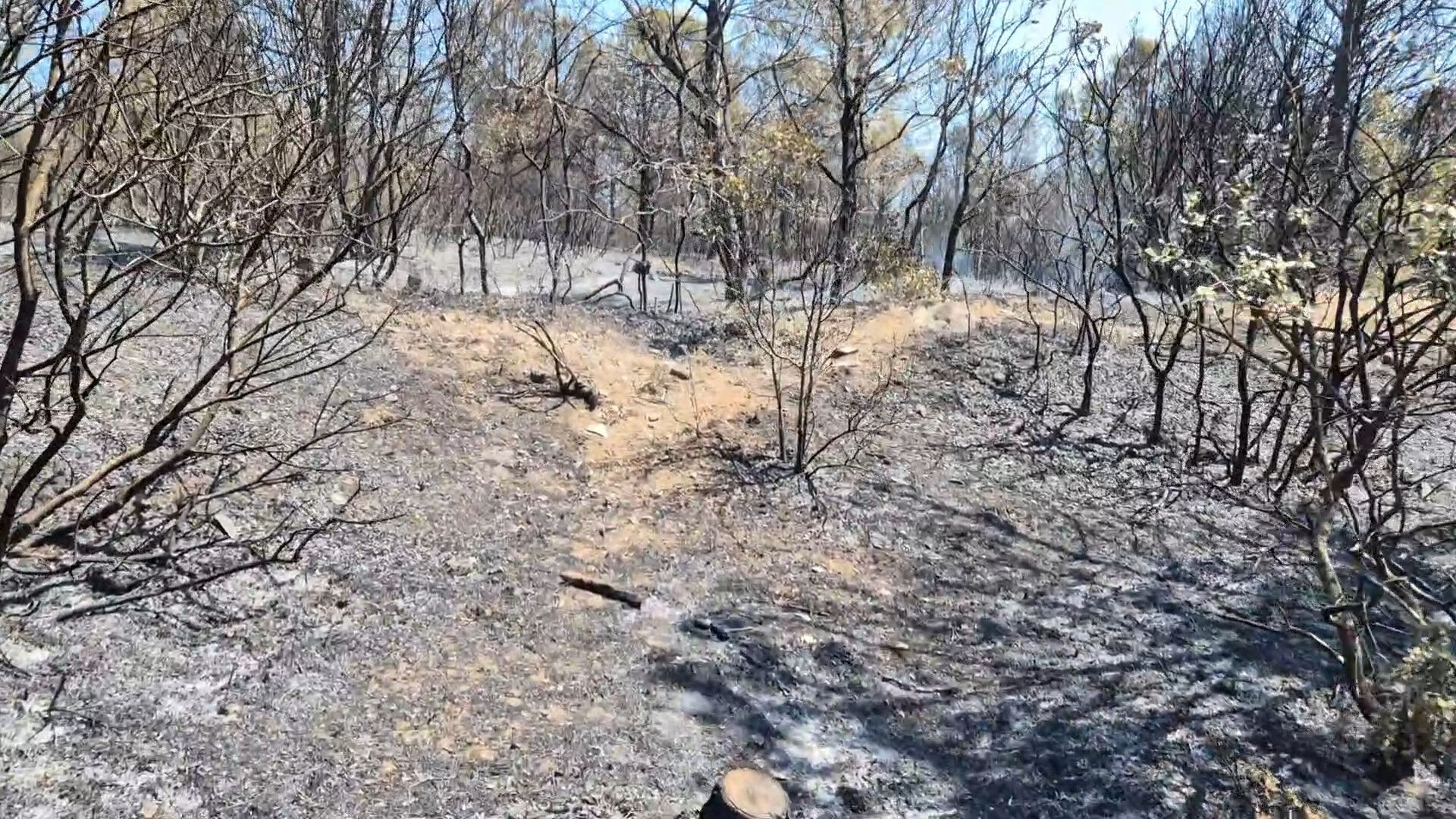 Mardin'den Tekirdağ'a, Sakarya'dan Antalya'ya... - 3. Resim