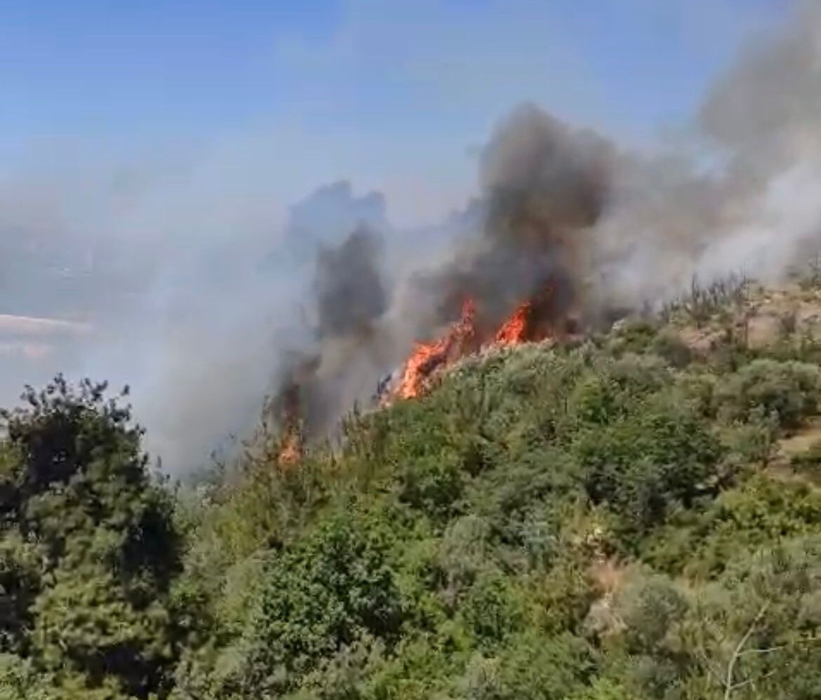 Mardin'den Tekirdağ'a, Sakarya'dan Antalya'ya... - 2. Resim