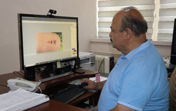 Sıcak hava hepsini harekete geçirdi! Bir tanesi 10 bin yumurta bırakıyor, ölüme sebep oluyorlar - 2. Resim