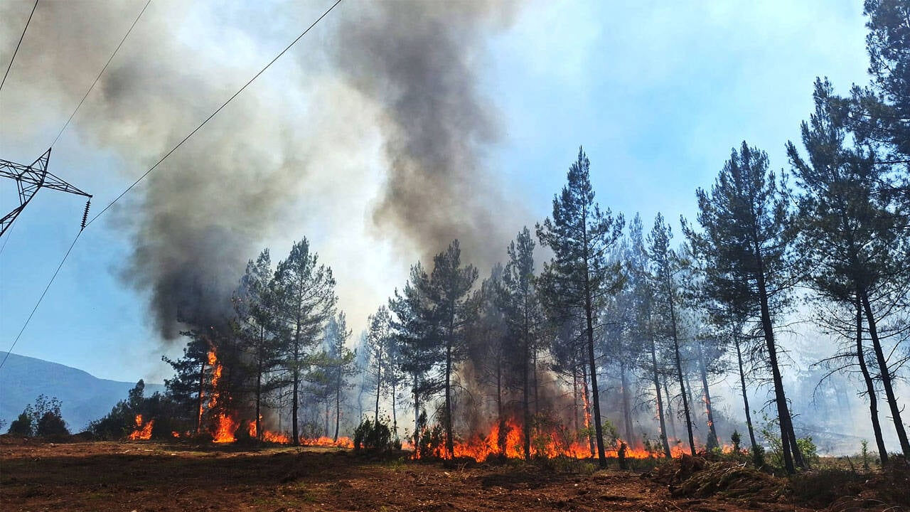 Yangın neden çıktı, söndürüldü mü? Eskişehir, Bilecik, Bolu, Samsun ve Sakarya yangın son dakika durumu - 1. Resim