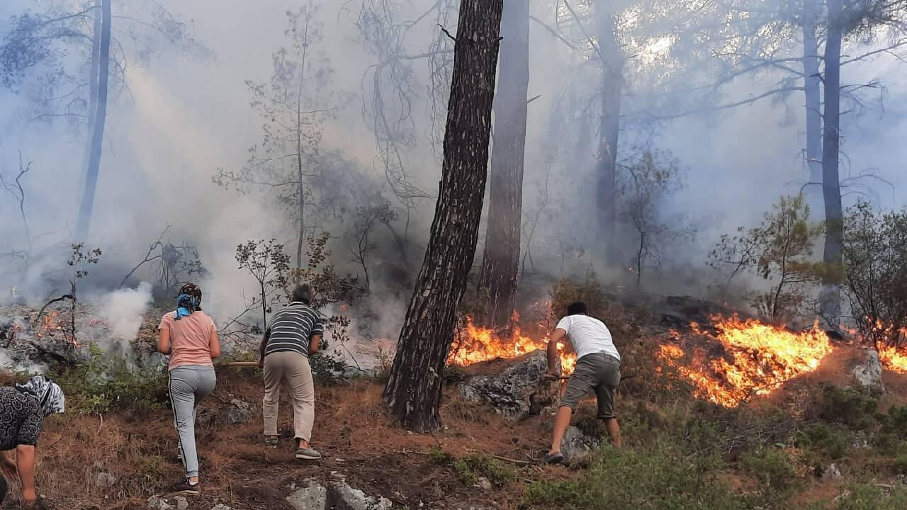 Yangın neden çıktı, söndürüldü mü? Eskişehir, Bilecik, Bolu, Samsun ve Sakarya yangın son dakika durumu - 2. Resim
