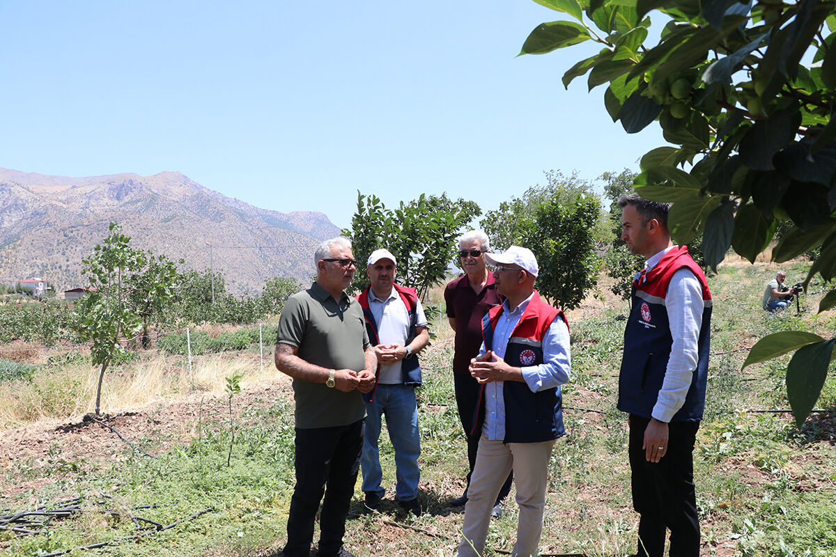 Yetişmez sanıldı, 4 yıllık sabır meyvesini verdi! Şimdi binlerce fidan dağıtılacak - 1. Resim