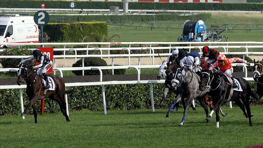 99. Gazi Koşusu yarışacak atlar ve jokeyler kimler? Gazi Koşusu canlı yayın bilgileri.. - 2. Resim