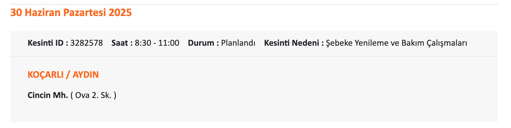 ADM Elektrik duyurdu, Aydın'da elektrikler ne zaman gelecek? 29-30 Haziran Didim Elektrik kesintisi sorgulama! - 9. Resim