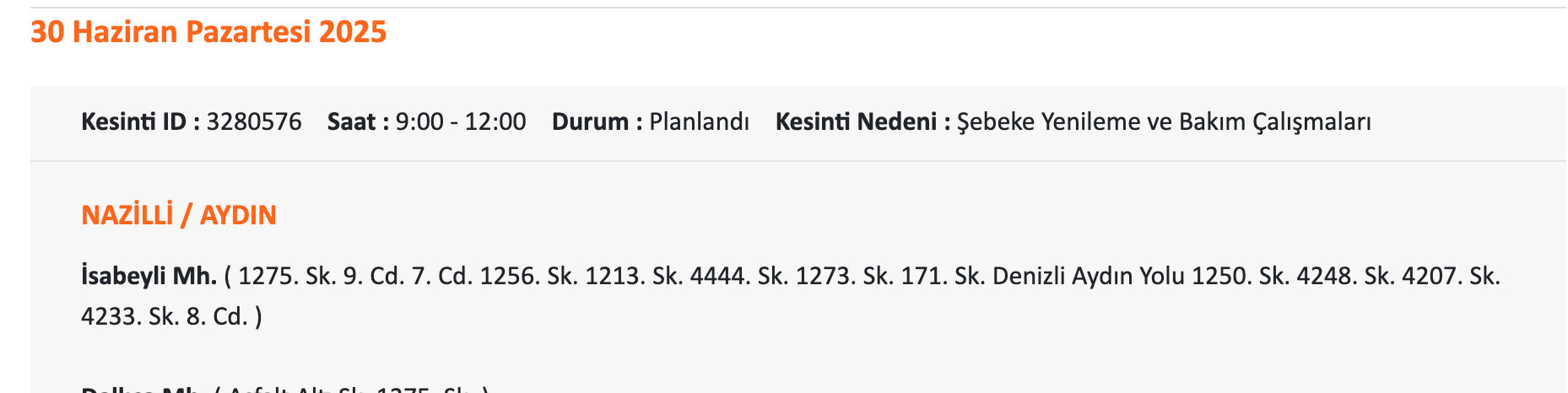 ADM Elektrik duyurdu, Aydın'da elektrikler ne zaman gelecek? 29-30 Haziran Didim Elektrik kesintisi sorgulama! - 10. Resim