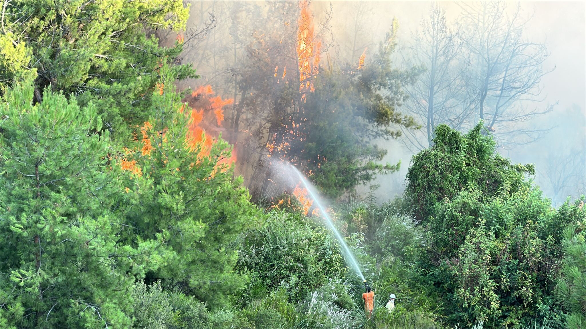 Antalya'da 2 ayrı noktada orman yangını - 1. Resim