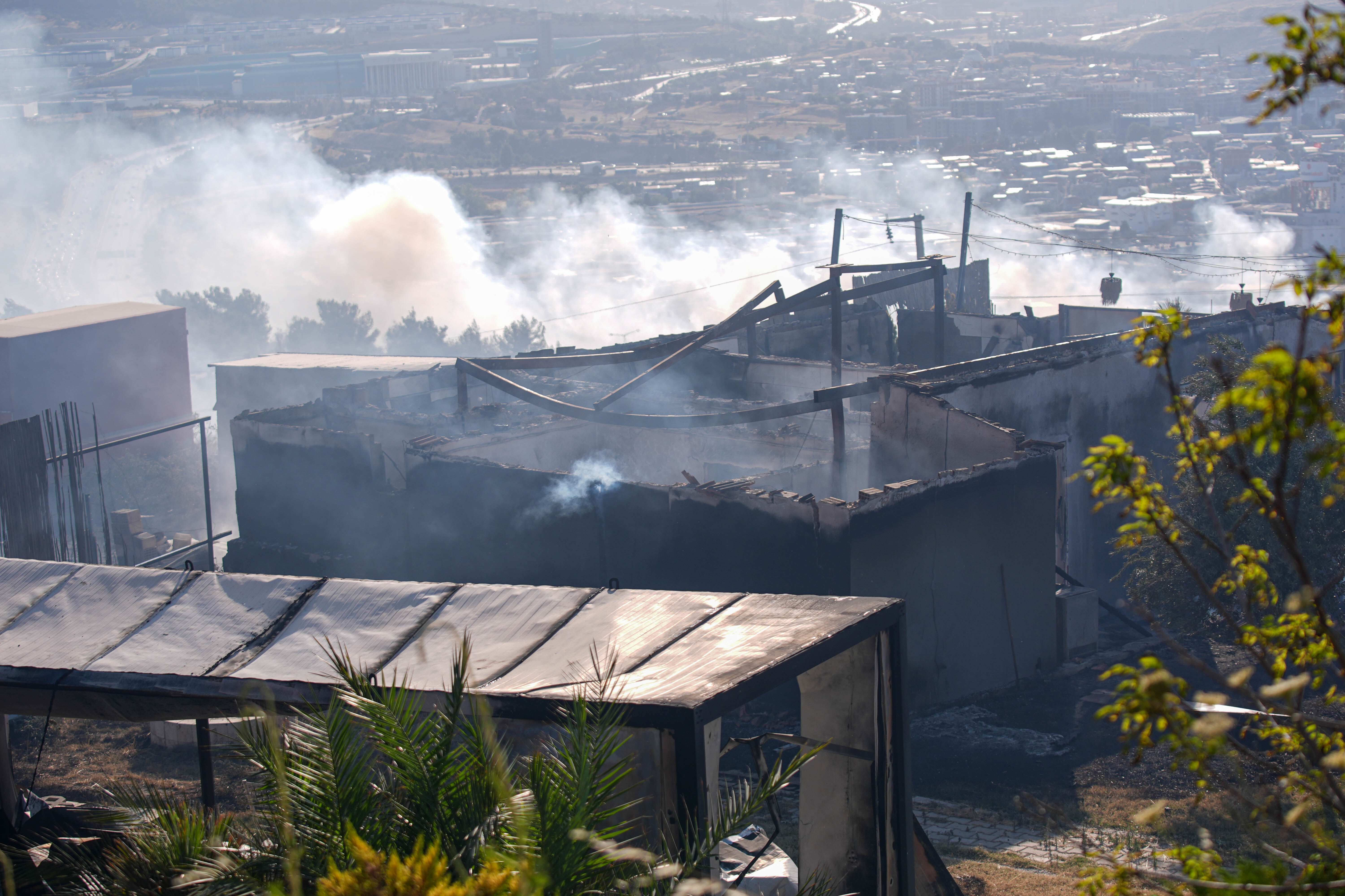 Belediye kulak tıkadı, alevler ormana yürüdü! Buca'da ihmalin faturası ağır oldu - 4. Resim