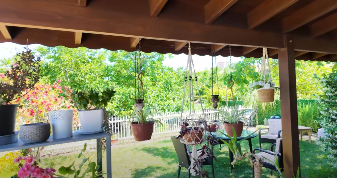 Burak Hakkı'nın yeni hayatı şaşırttı! Çiftlik kurdu, siparişlere yetişemiyor - 2. Resim