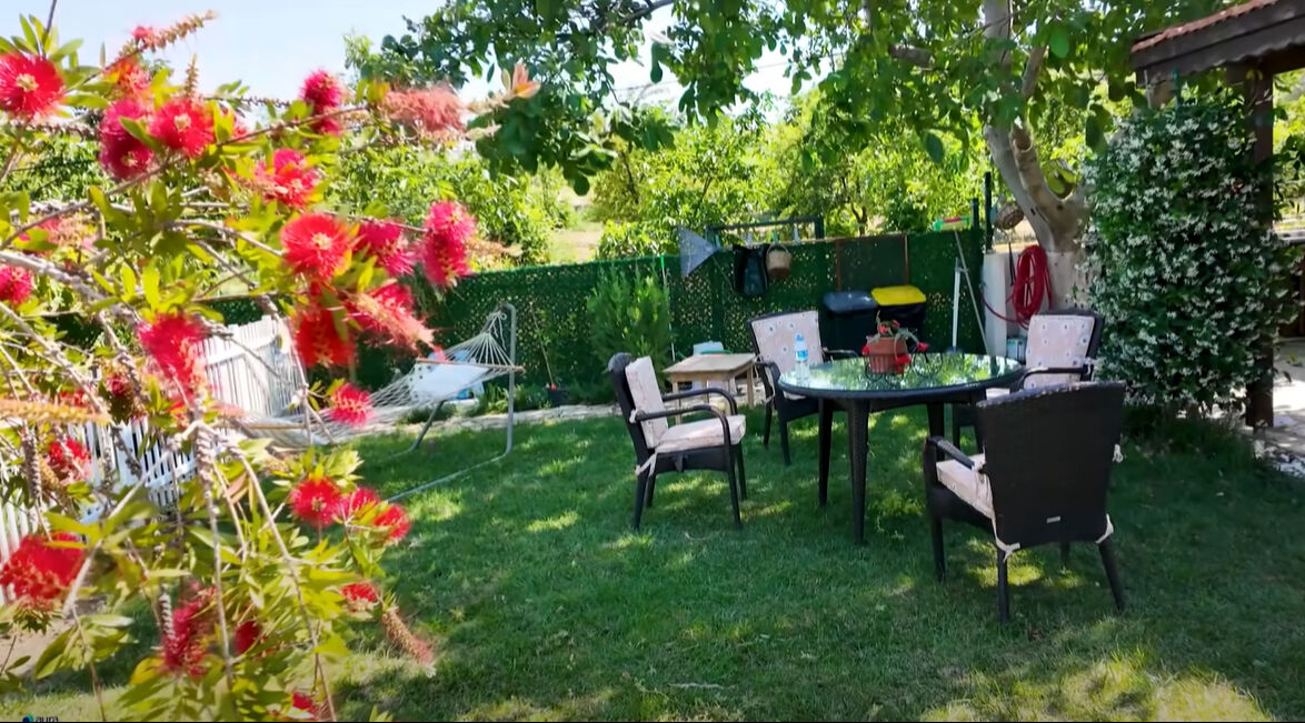 Burak Hakkı'nın yeni hayatı şaşırttı! Çiftlik kurdu, siparişlere yetişemiyor - 4. Resim