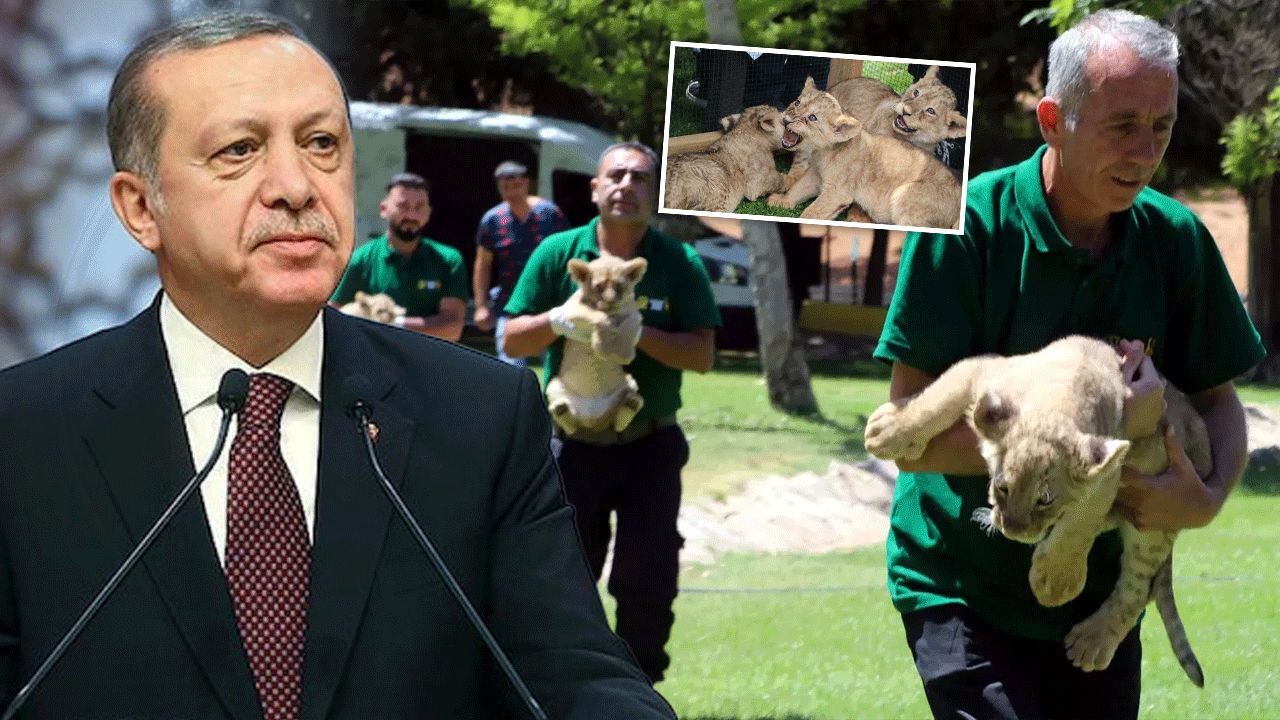 Gündem
