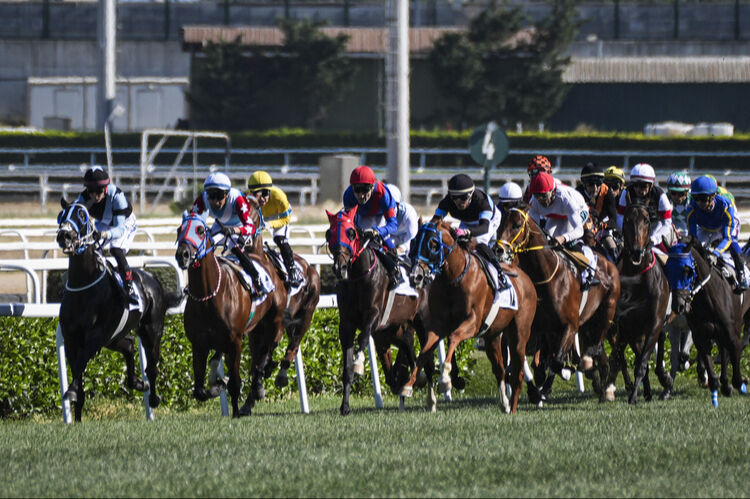 Cutha kimin atı, Hulusi Çil kimdir? 99. Gazi Koşusu'nda birinci Cutha oldu - 1. Resim