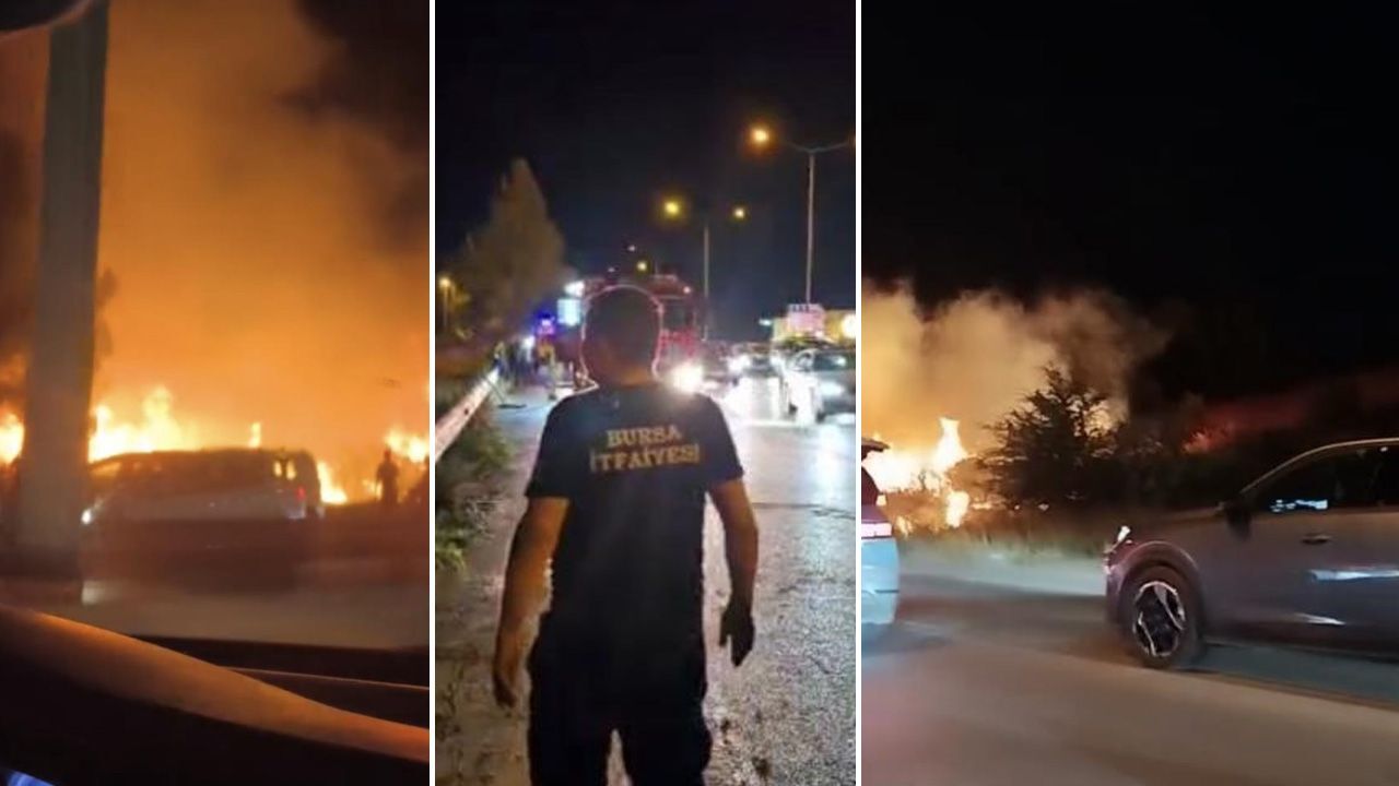 Düğünde atılan havai fişek ormanı yaktı! Salondakiler tahliye edildi Düğünde atılan havai fişek ormanı yaktı! Salondakiler tahliye edildi