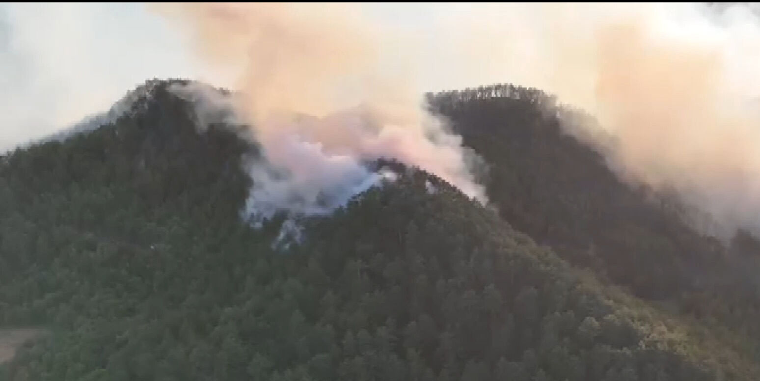 Felaket gerisinde bunları bıraktı! İşte Sakarya, İzmir ve Bolu'daki yangınların tahribatının en çarpıcı görüntüsü - 7. Resim