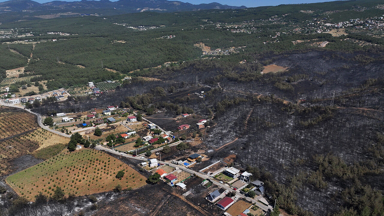 Felaket gerisinde bunları bıraktı! İşte Sakarya, İzmir ve Bolu'daki yangınların tahribatının en çarpıcı görüntüsü - 6. Resim