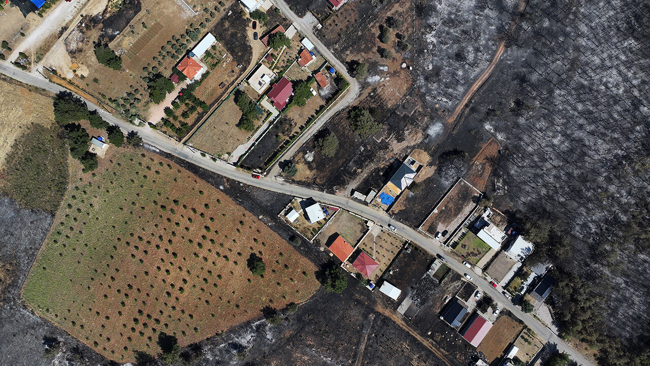 Felaket gerisinde bunları bıraktı! İşte Sakarya, İzmir ve Bolu'daki yangınların tahribatının en çarpıcı görüntüsü - 4. Resim
