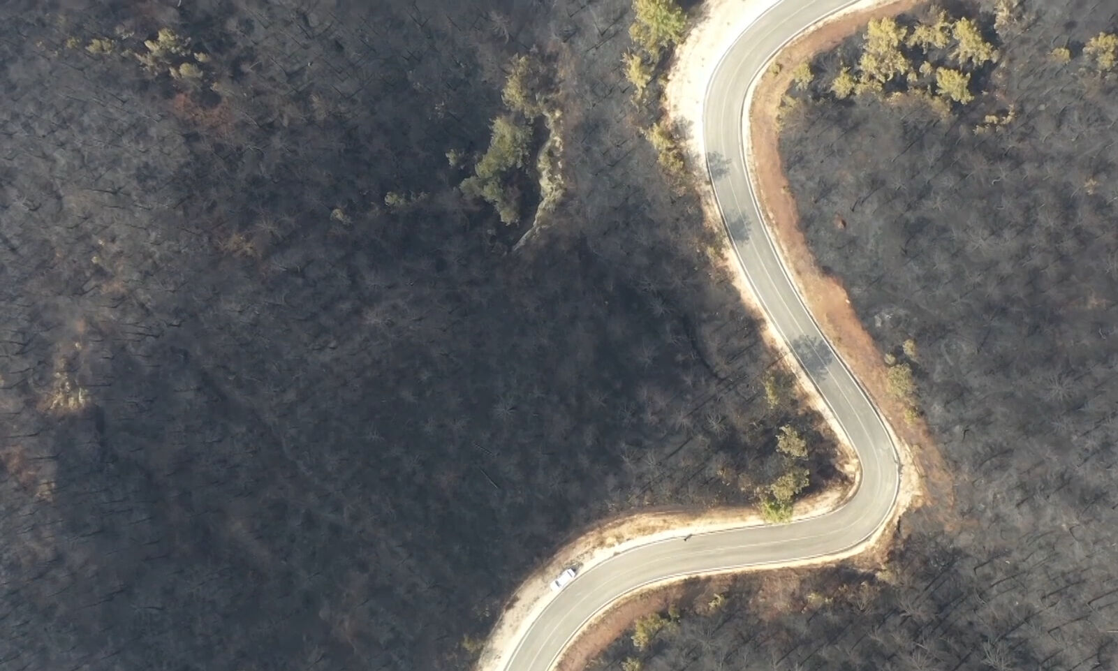 Felaket gerisinde bunları bıraktı! İşte Sakarya, İzmir ve Bolu'daki yangınların tahribatının en çarpıcı görüntüsü - 1. Resim