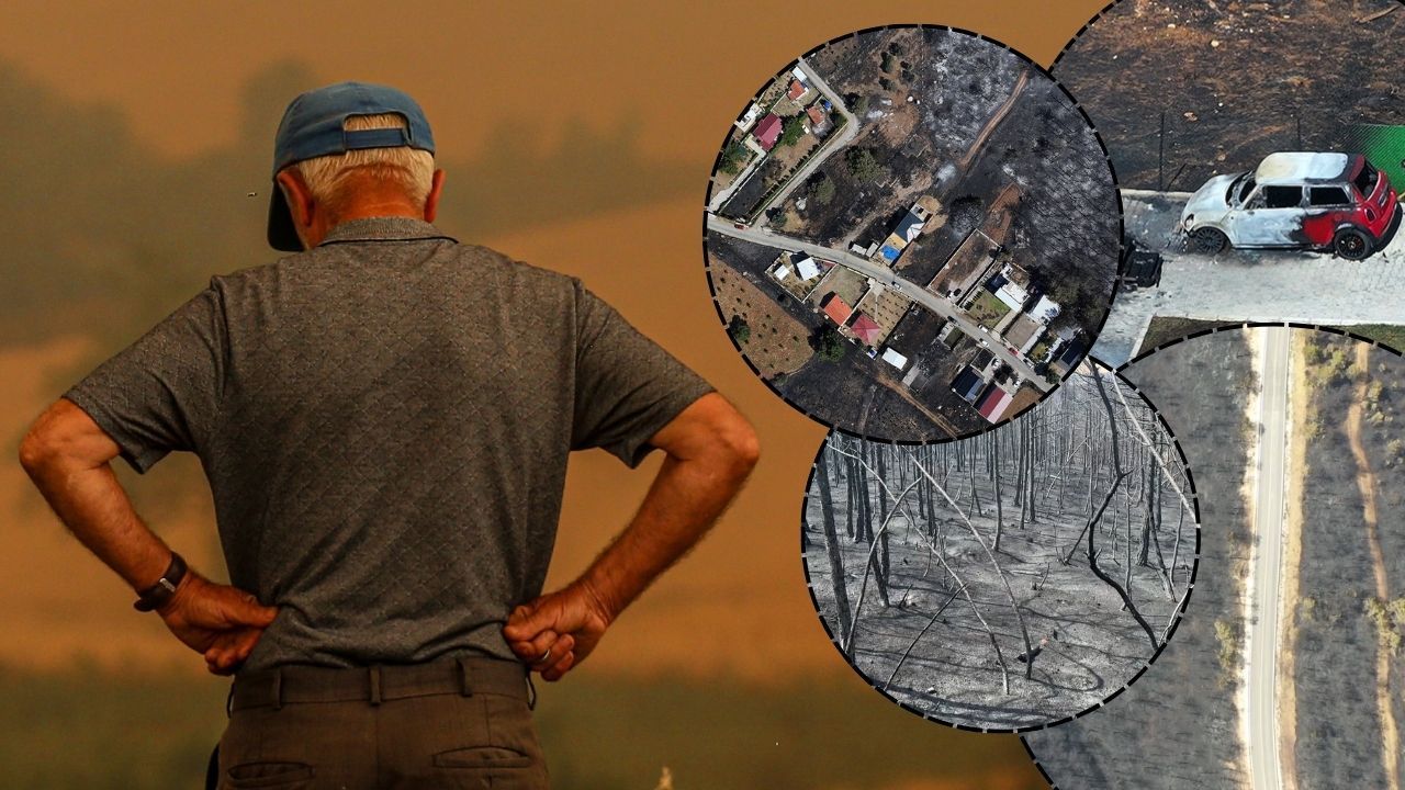 Felaket gerisinde bunları bıraktı! İşte Sakarya, İzmir ve Bolu'daki yangınların tahribatının en çarpıcı görüntüsü Felaket gerisinde bunları bıraktı! İşte Sakarya, İzmir ve Bolu'daki yangınların tahribatının en çarpıcı görüntüsü