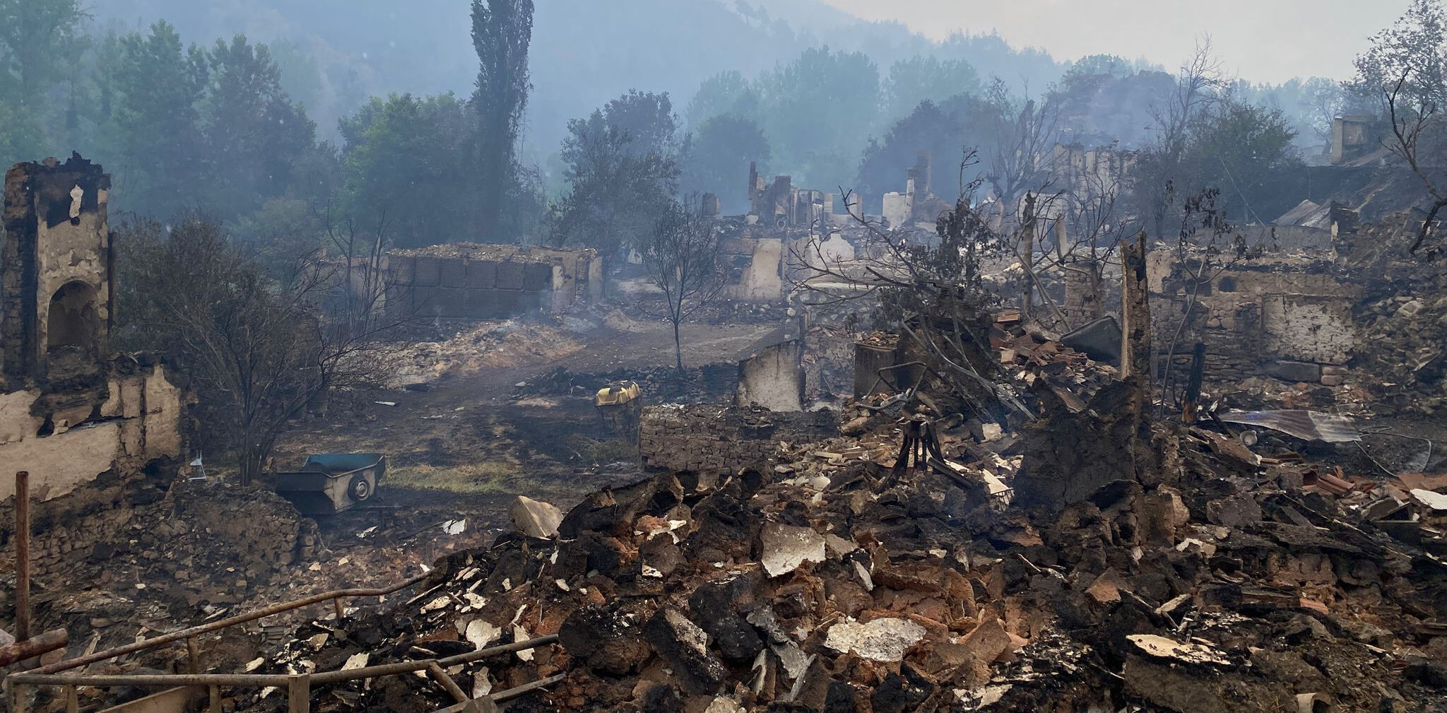 Felaket gerisinde bunları bıraktı! İşte Sakarya, İzmir ve Bolu'daki yangınların tahribatının en çarpıcı görüntüsü - 4. Resim