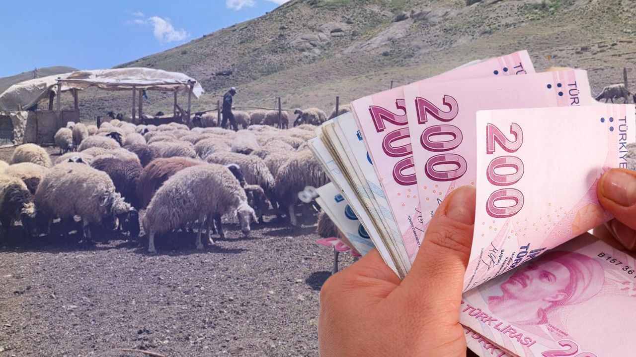 Hayvancılıkla uğraşanlara kredi dopingi! İki katına çıktı: İşte müjdeden faydalanacaklar Hayvancılıkla uğraşanlara kredi dopingi! İki katına çıktı: İşte müjdeden faydalanacaklar