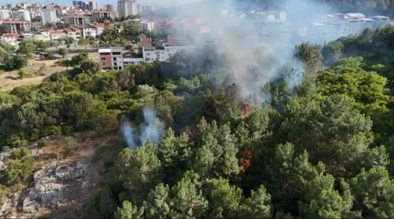 İstanbul'da yangın paniği! Aydos Ormanı'ndan alevler yükseldi - 1. Resim