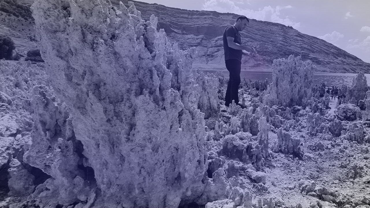 Yaşam