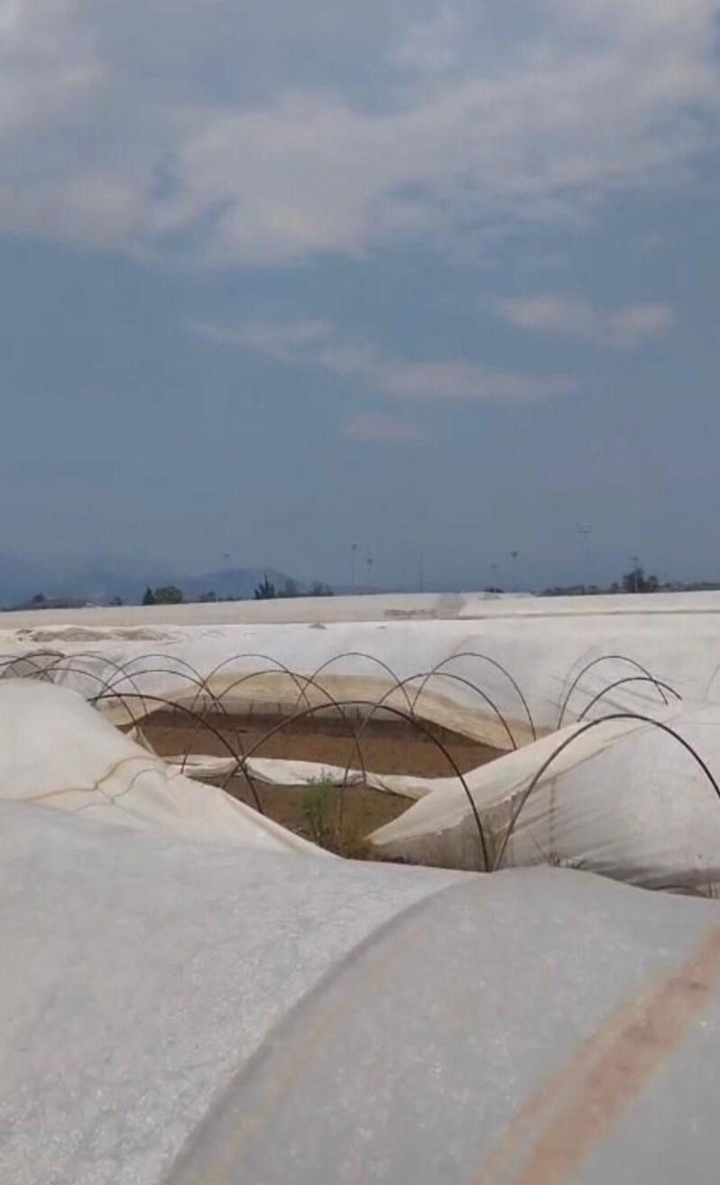 Yaz ortasında hortum şoku! Çatılar havaya uçtu, üreticiler zararda Yaz ortasında hortum şoku! Çatılar havaya uçtu, seralarda hasar büyük - 2. Resim