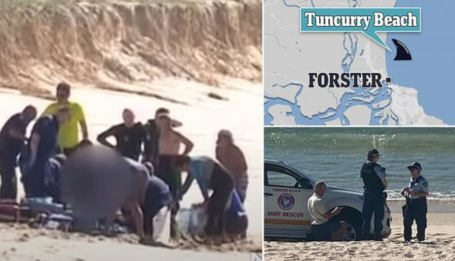 16 yaşındaki genci köpekbalığının ağzından yumrukla aldı! Film sahnelerini aratmadı - 2. Resim