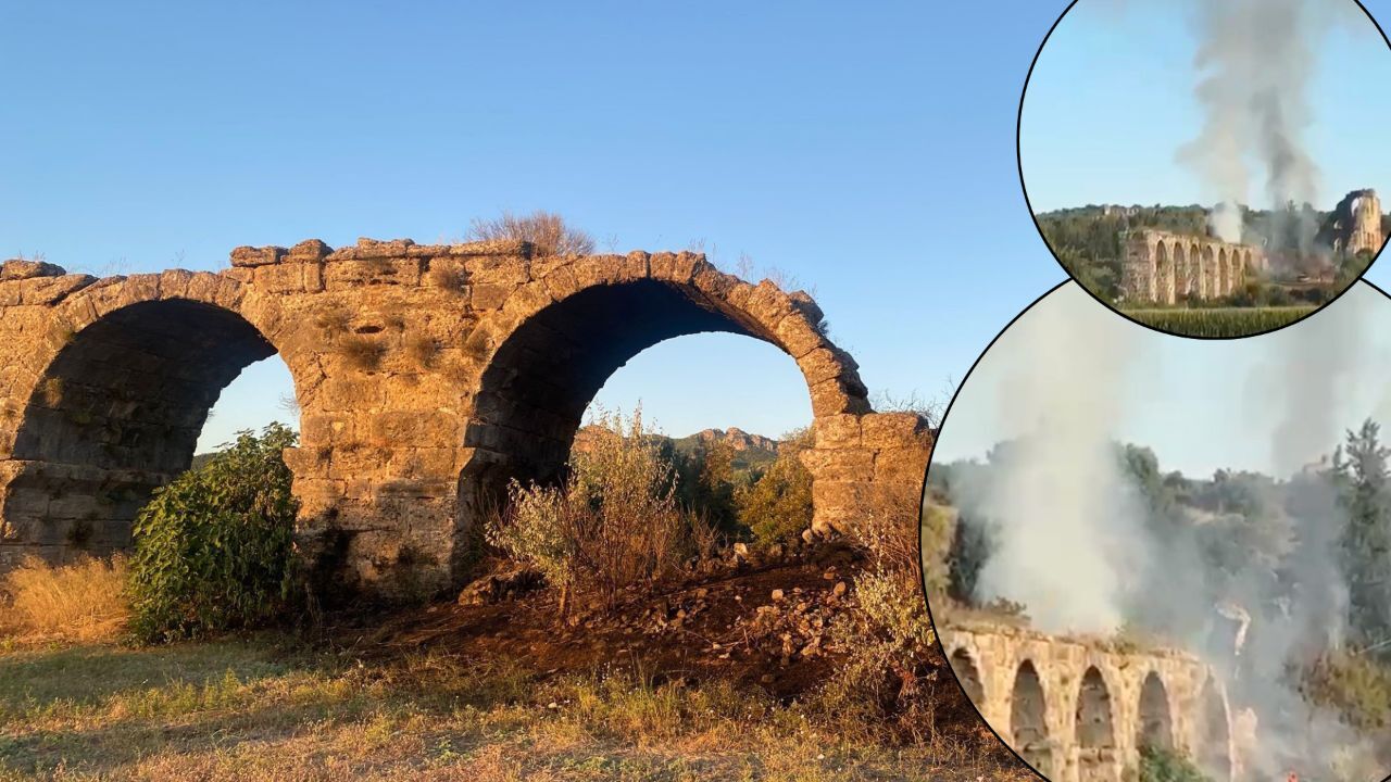 Yaşam