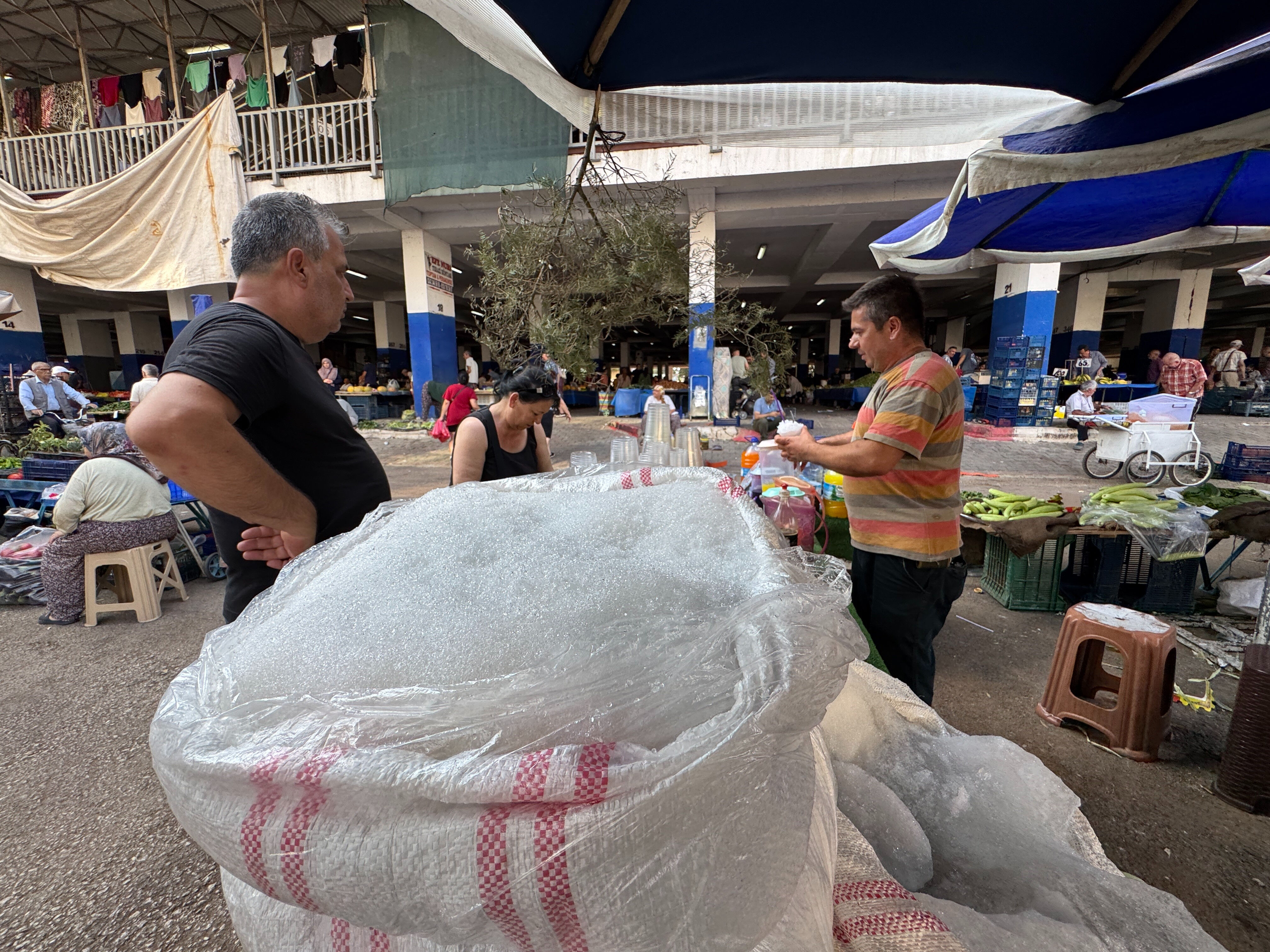 3 bin metreden topluyorlar 40 derece sıcakta satıyorlar: 6 çeşidi var! Adını duyan serinliyor - 2. Resim