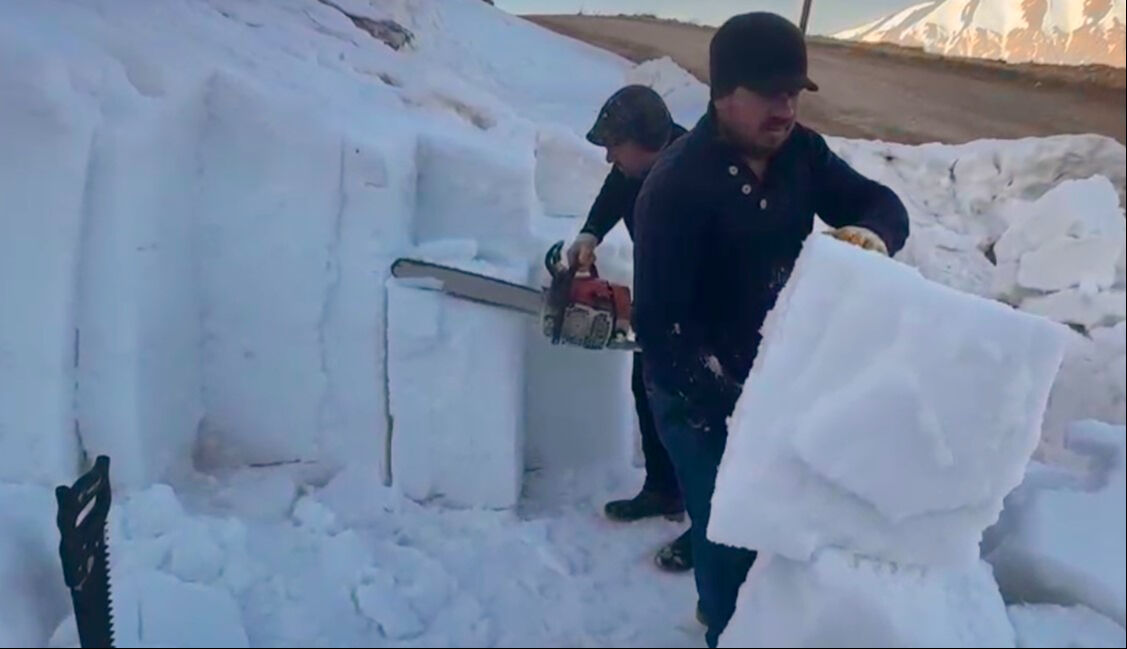 3 bin metreden topluyorlar 40 derece sıcakta satıyorlar: 6 çeşidi var! Adını duyan serinliyor - 3. Resim