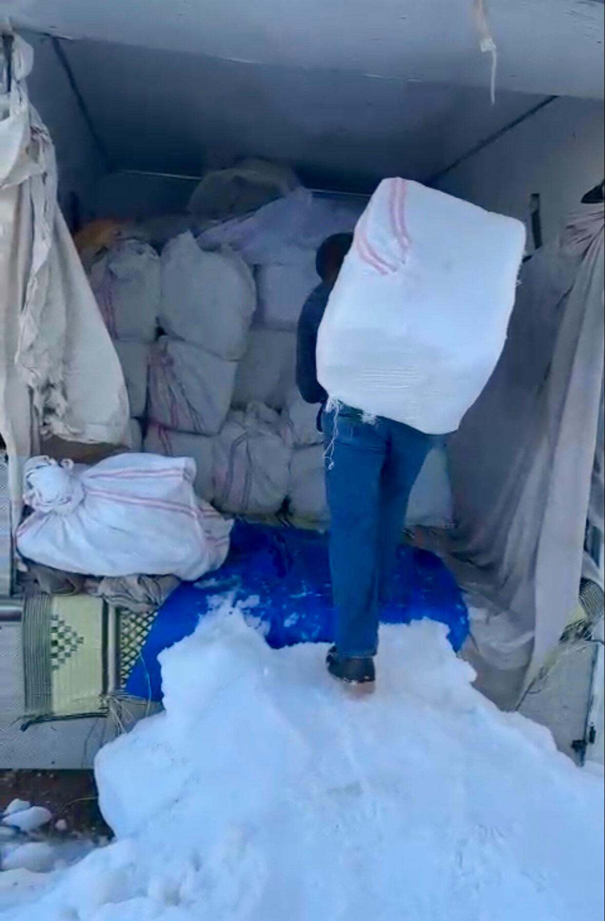 3 bin metreden topluyorlar 40 derece sıcakta satıyorlar: 6 çeşidi var! Adını duyan serinliyor - 1. Resim