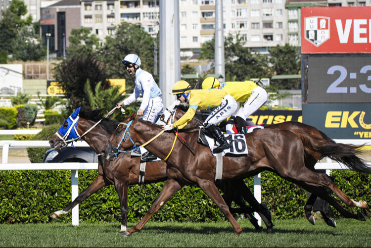 Ahmet Çelik kaç kez gazi koşusu kazandı? Üst üste kazanma rekorunu elinde bulunduruyor - 1. Resim