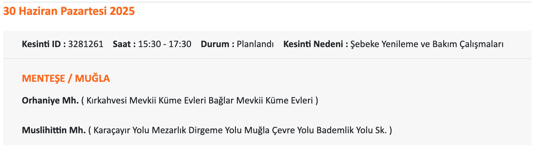 Bodrum elektrik kesintisi sorgulama: ADM elektrik uyardı, 1-2 Temmuz 2025 Muğla'da elektrikler ne zaman gelecek? - 10. Resim