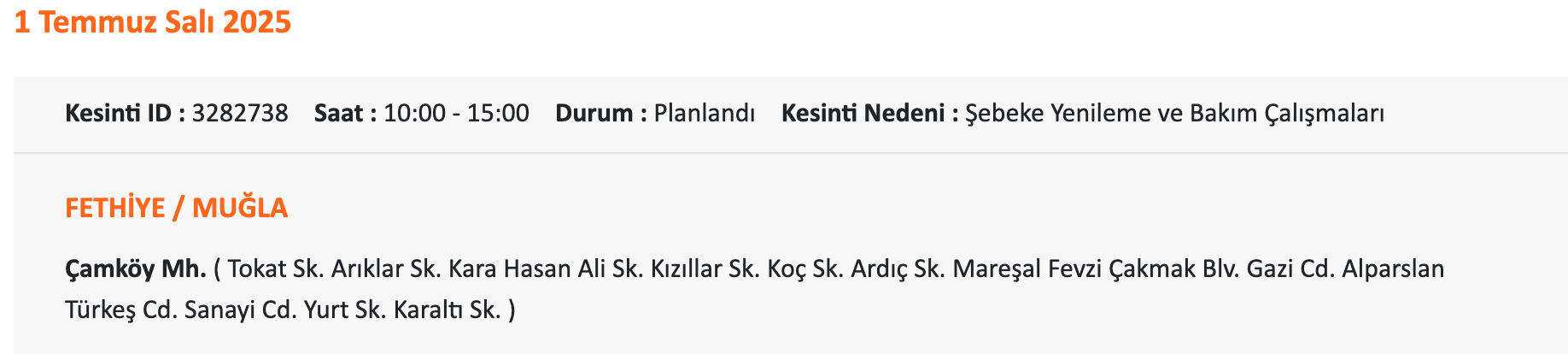 Bodrum elektrik kesintisi sorgulama: ADM elektrik uyardı, 1-2 Temmuz 2025 Muğla'da elektrikler ne zaman gelecek? - 7. Resim