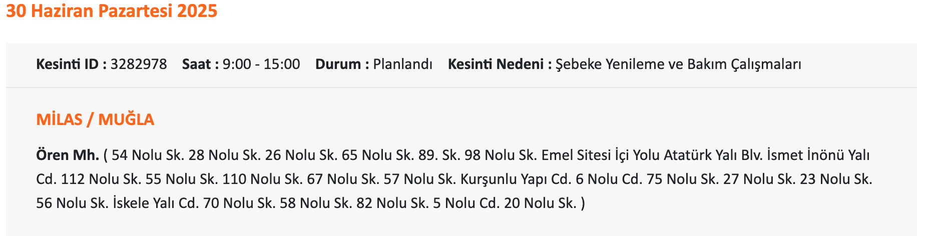 Bodrum elektrik kesintisi sorgulama: ADM elektrik uyardı, 1-2 Temmuz 2025 Muğla'da elektrikler ne zaman gelecek? - 11. Resim