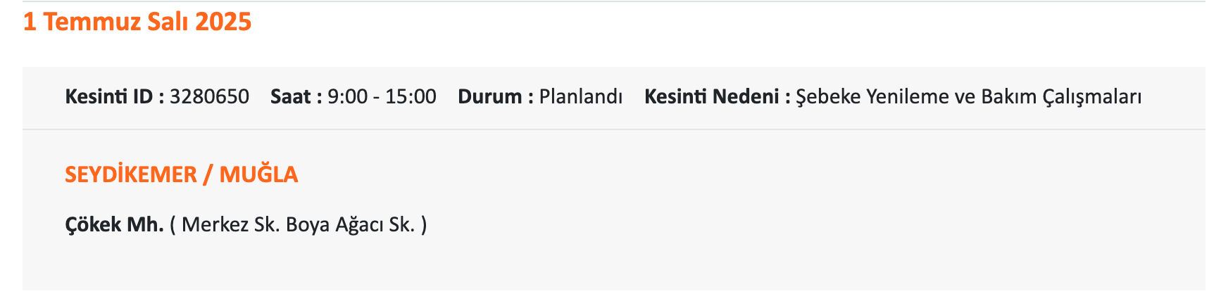 Bodrum elektrik kesintisi sorgulama: ADM elektrik uyardı, 1-2 Temmuz 2025 Muğla'da elektrikler ne zaman gelecek? - 14. Resim