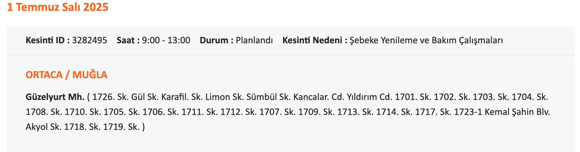 Bodrum elektrik kesintisi sorgulama: ADM elektrik uyardı, 1-2 Temmuz 2025 Muğla'da elektrikler ne zaman gelecek? - 13. Resim